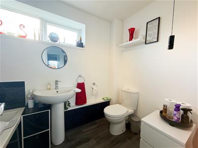 Picture 27